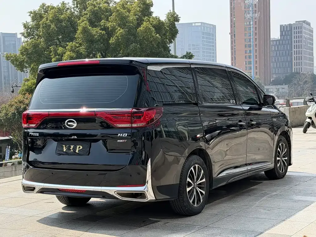 GAC Motor Trumpchi M8 2023 из CN, фото 9