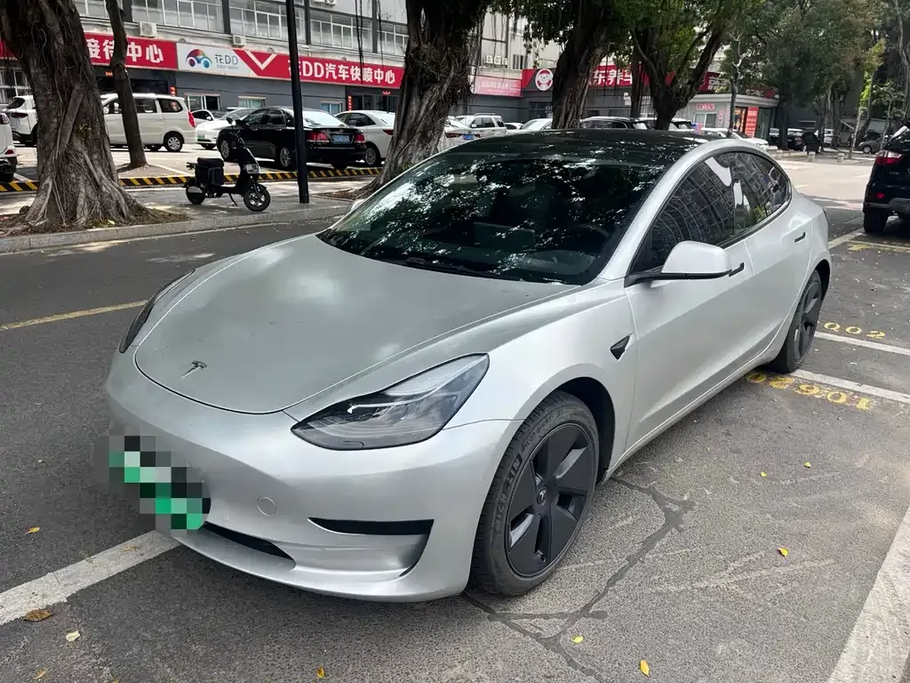 Tesla Model 3 2021 из CN, фото 1