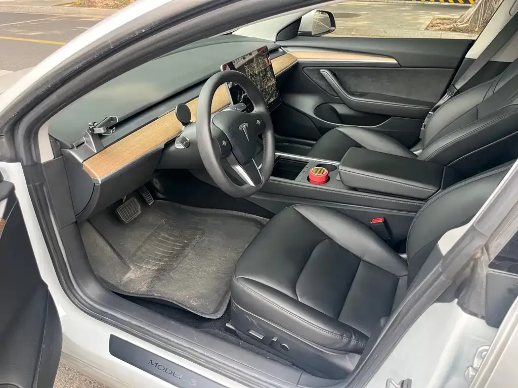 Tesla Model 3 2021 из CN, фото 4