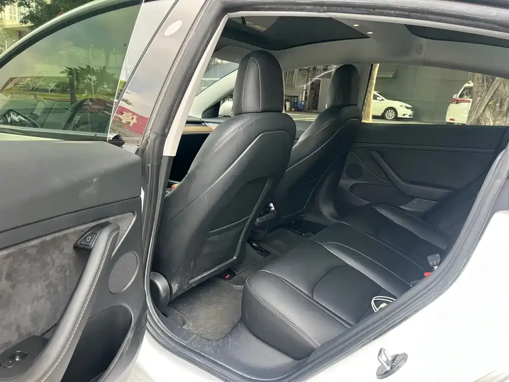 Tesla Model 3 2021 из CN, фото 3