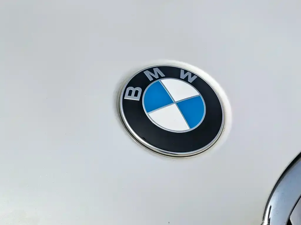 BMW X1 — фото 4