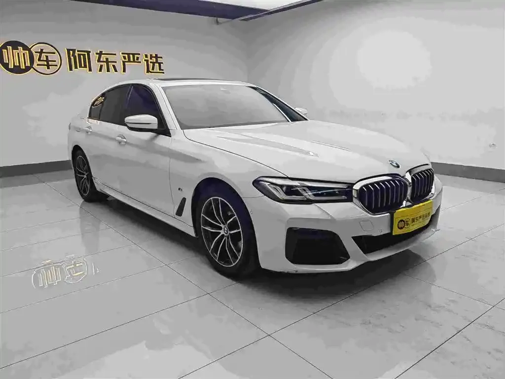 BMW 5 Series (Import) — фото 2