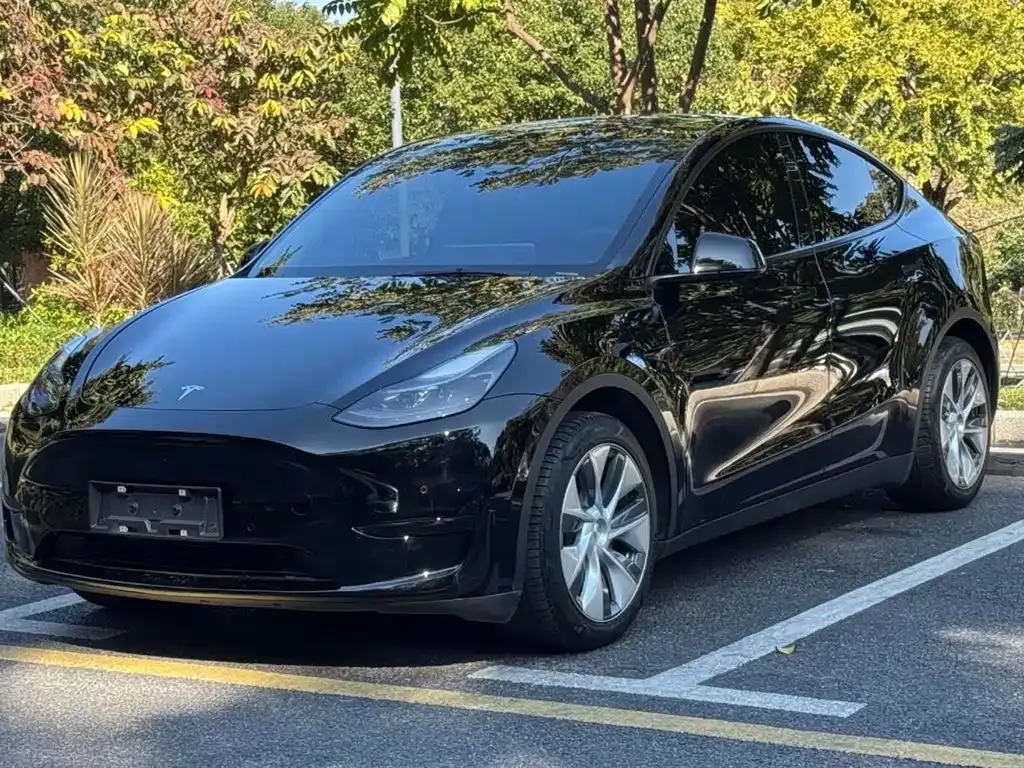 Tesla Model Y — фото 1