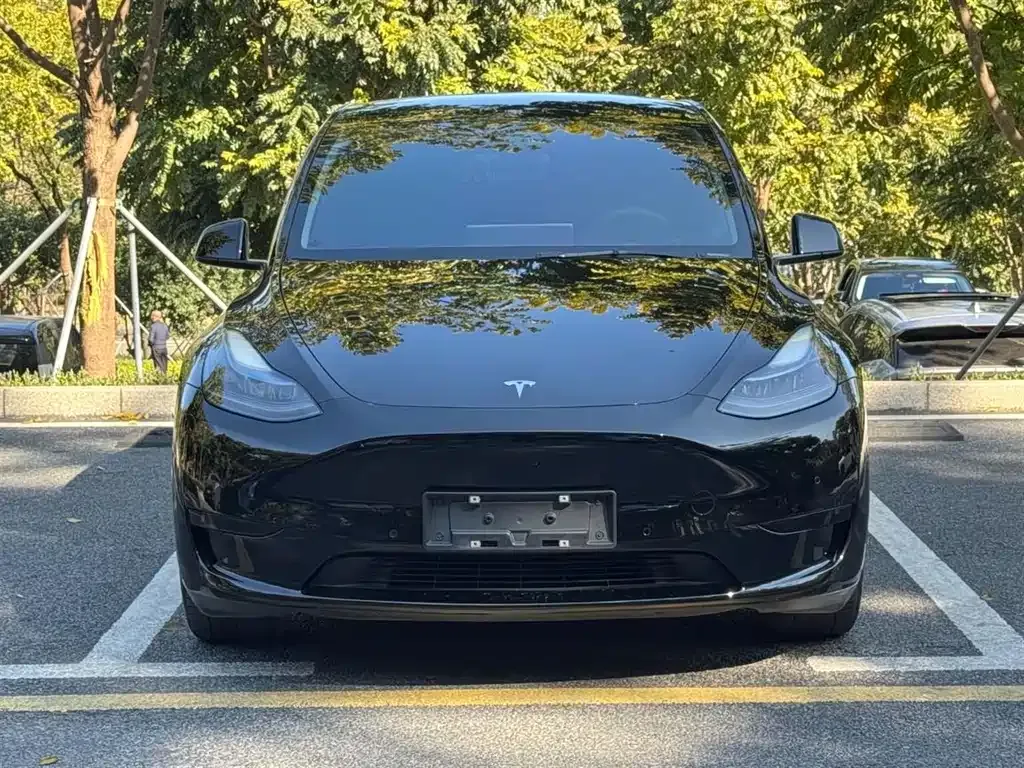 Tesla Model Y — фото 9