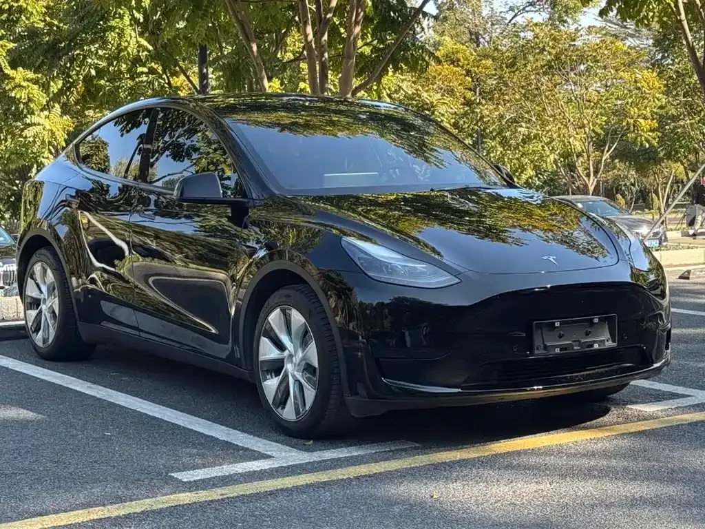 Tesla Model Y — фото 7