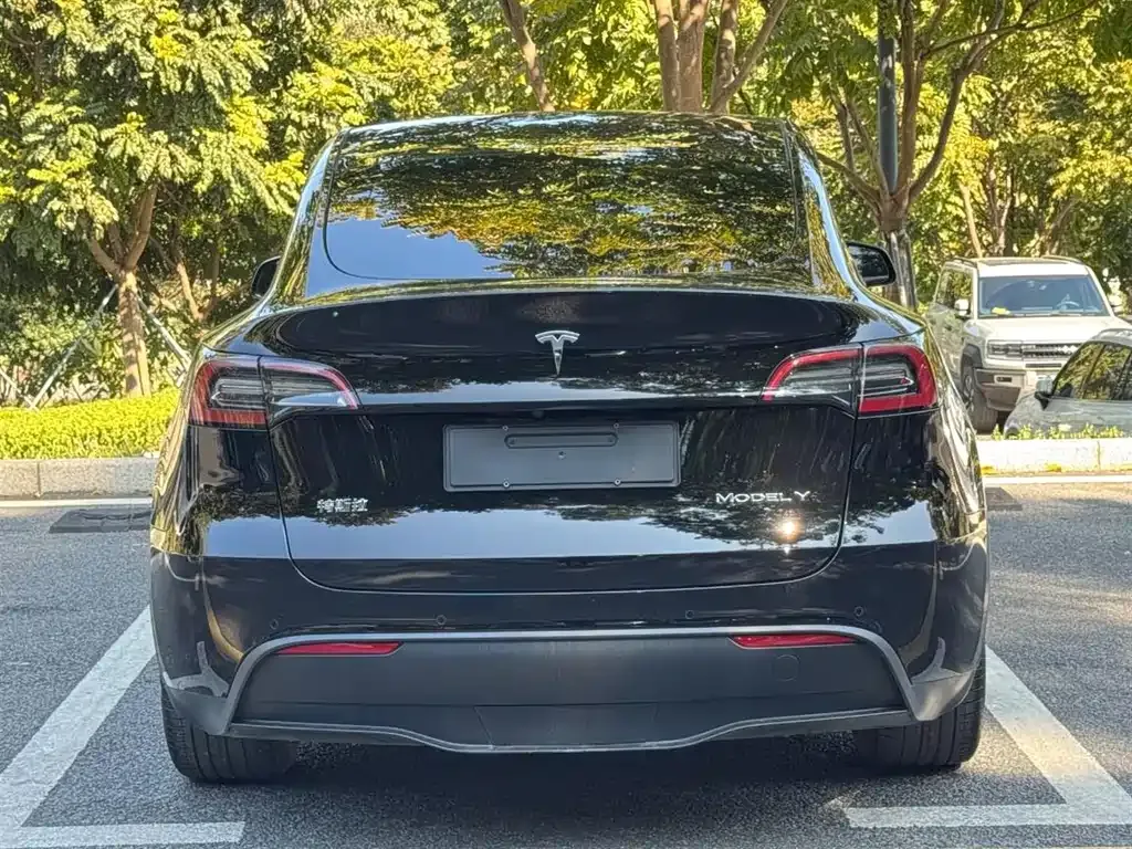 Tesla Model Y — фото 5
