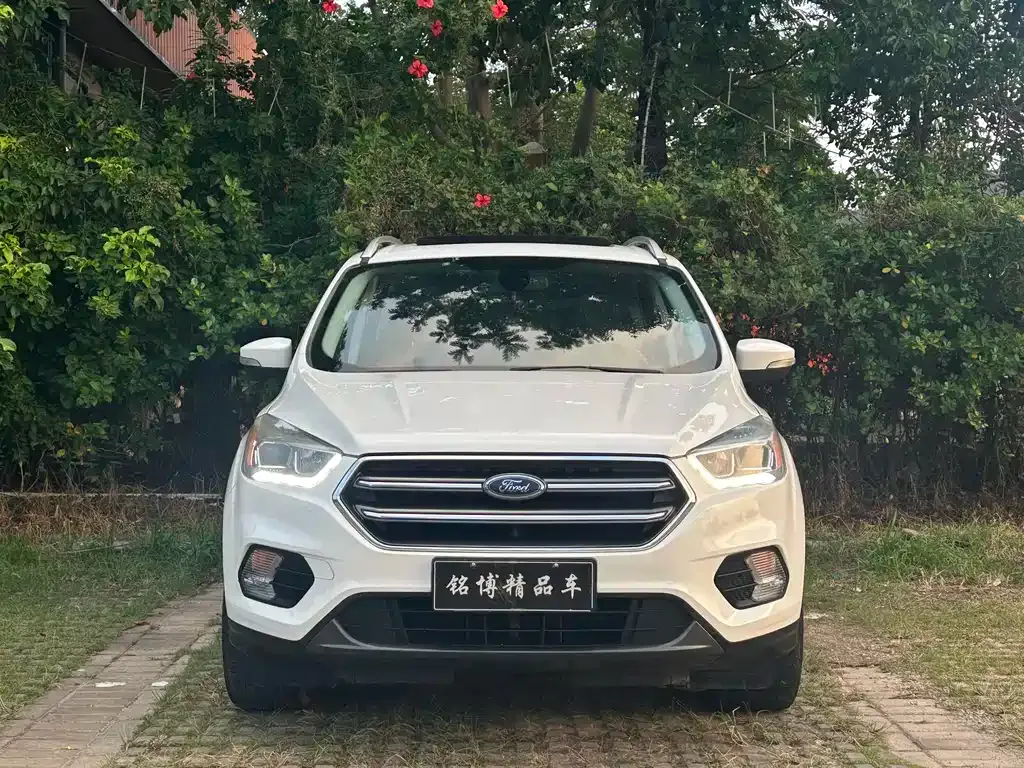 Ford Kuga 2021 из CN, фото 8
