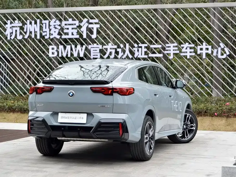 BMW X2 (Import) 2025 из CN, фото 9