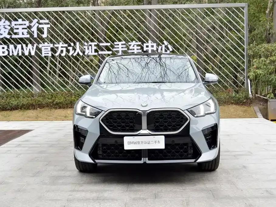 BMW X2 (Import) 2025 из CN, фото 7