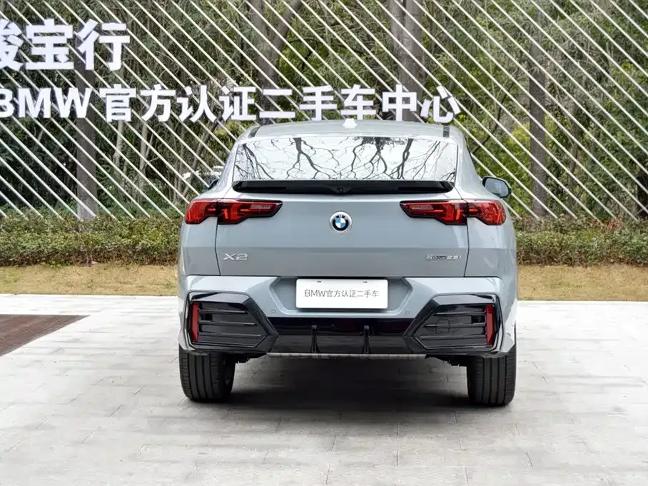 BMW X2 (Import) 2025 из CN, фото 8