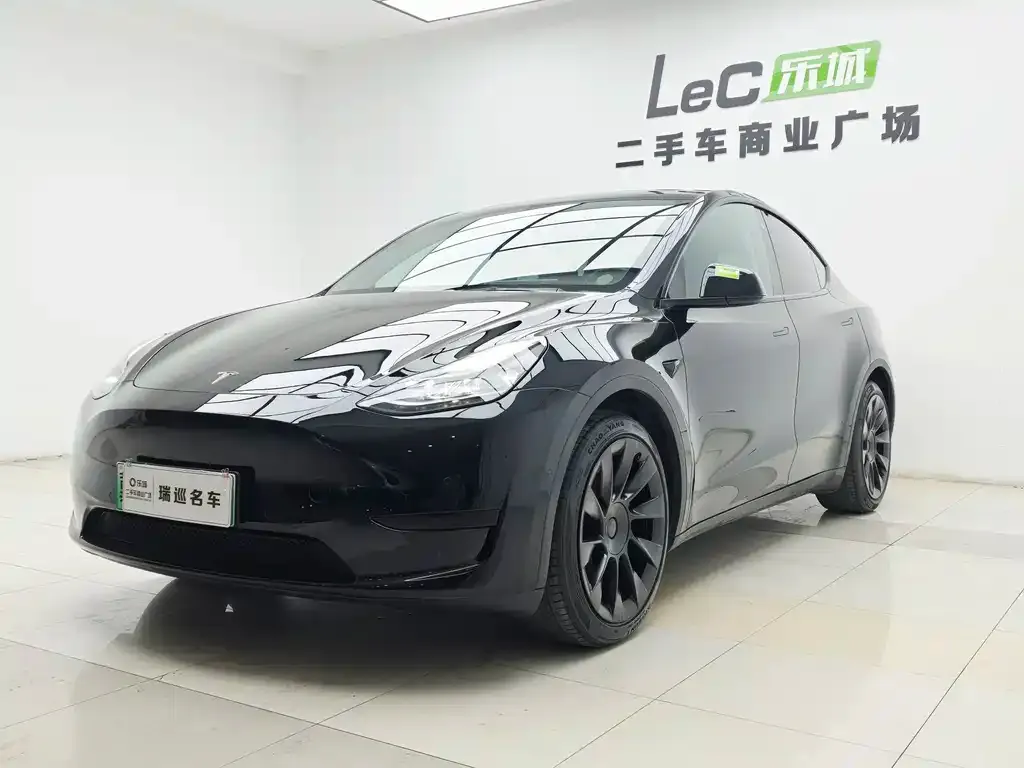Tesla Model Y — фото 1