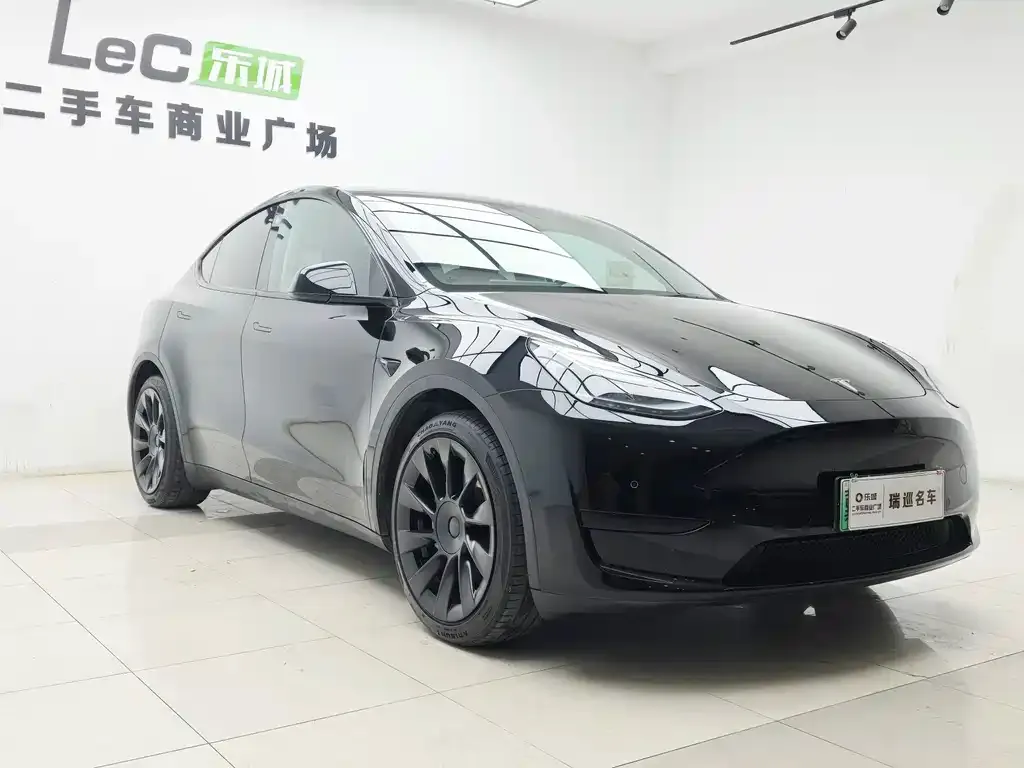 Tesla Model Y — фото 9