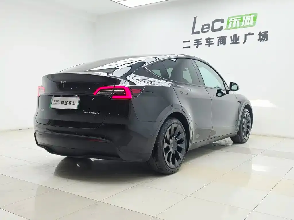 Tesla Model Y — фото 2