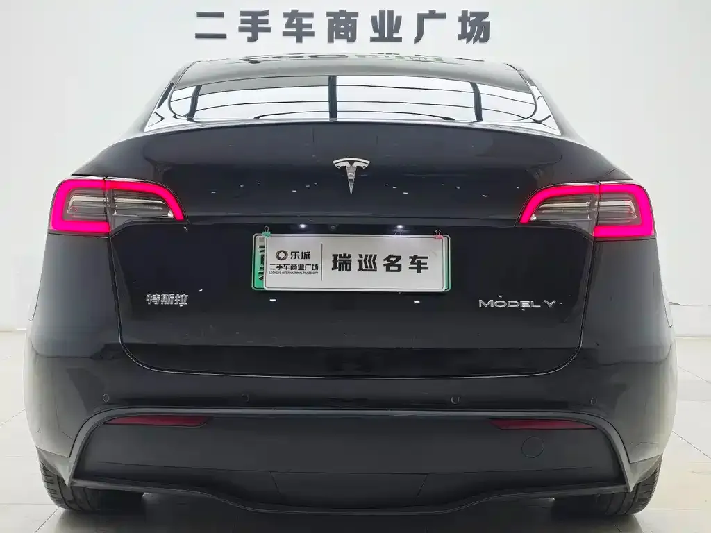 Tesla Model Y — фото 8