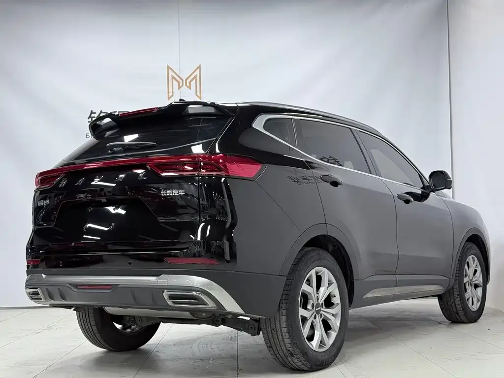 Haval H6 2022 из CN, фото 5