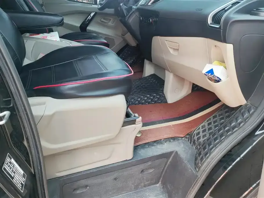 Ford Tourneo 2021 из CN, фото 2