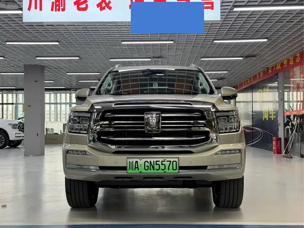 Tank 500 New Energy 2024 из CN, фото 10
