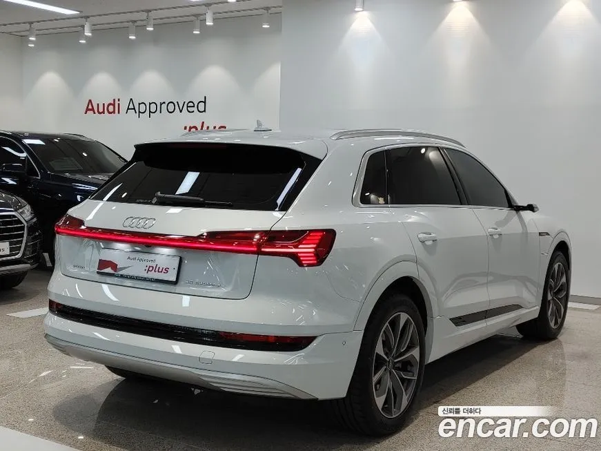 Audi e-tron 2022 из KR, фото 3