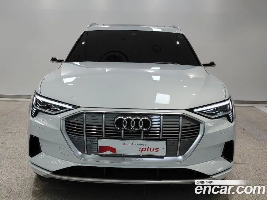 Audi e-tron 2022 из KR, фото 6