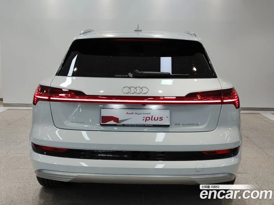 Audi e-tron 2022 из KR, фото 2
