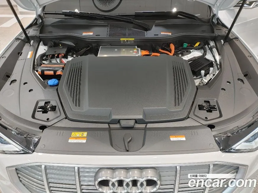 Audi e-tron 2022 из KR, фото 10