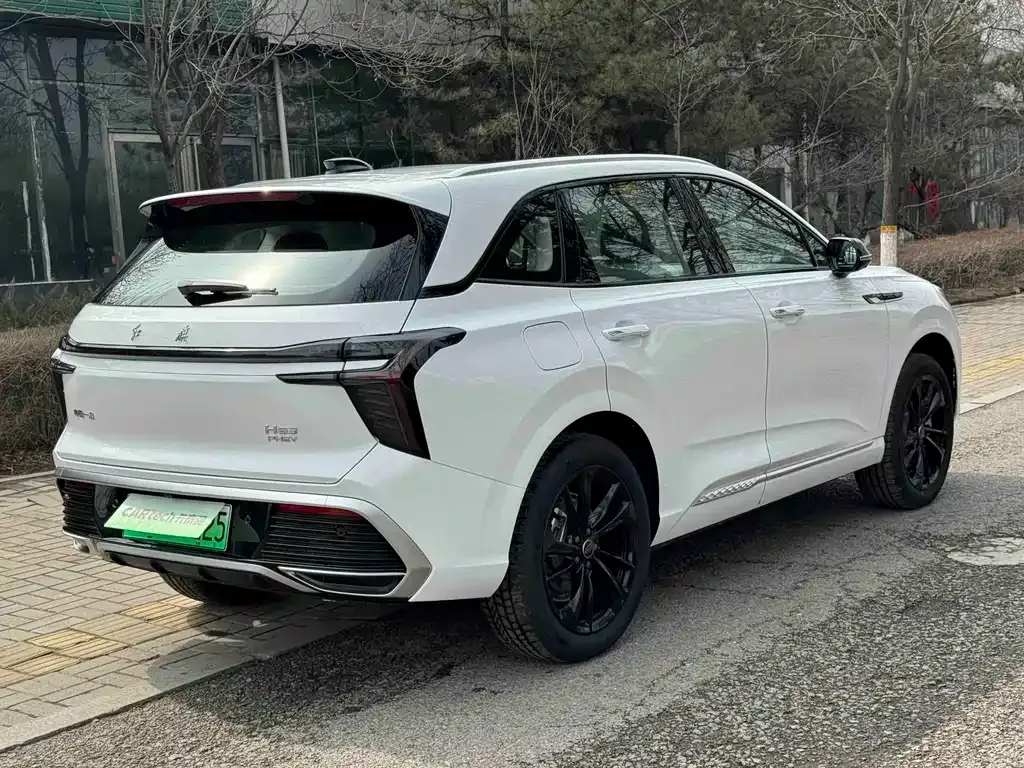 Hongqi HS3 PHEV 2025 из CN, фото 9