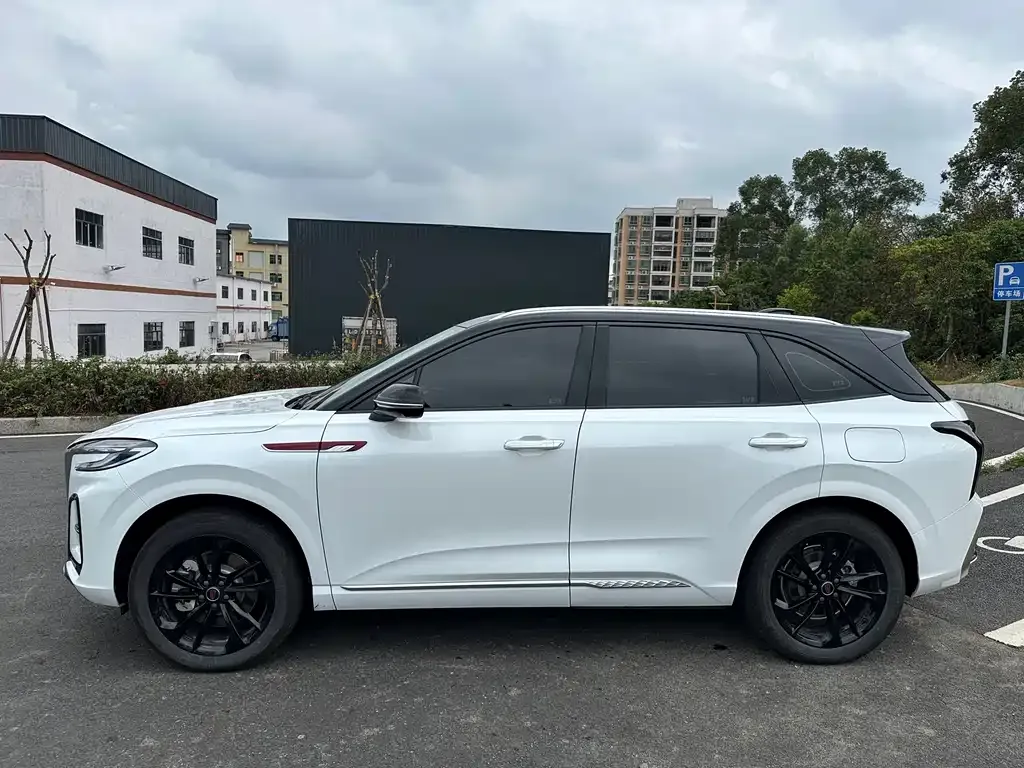Hongqi HS3 PHEV 2025 из CN, фото 4