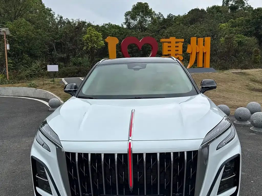 Hongqi HS3 PHEV 2025 из CN, фото 8