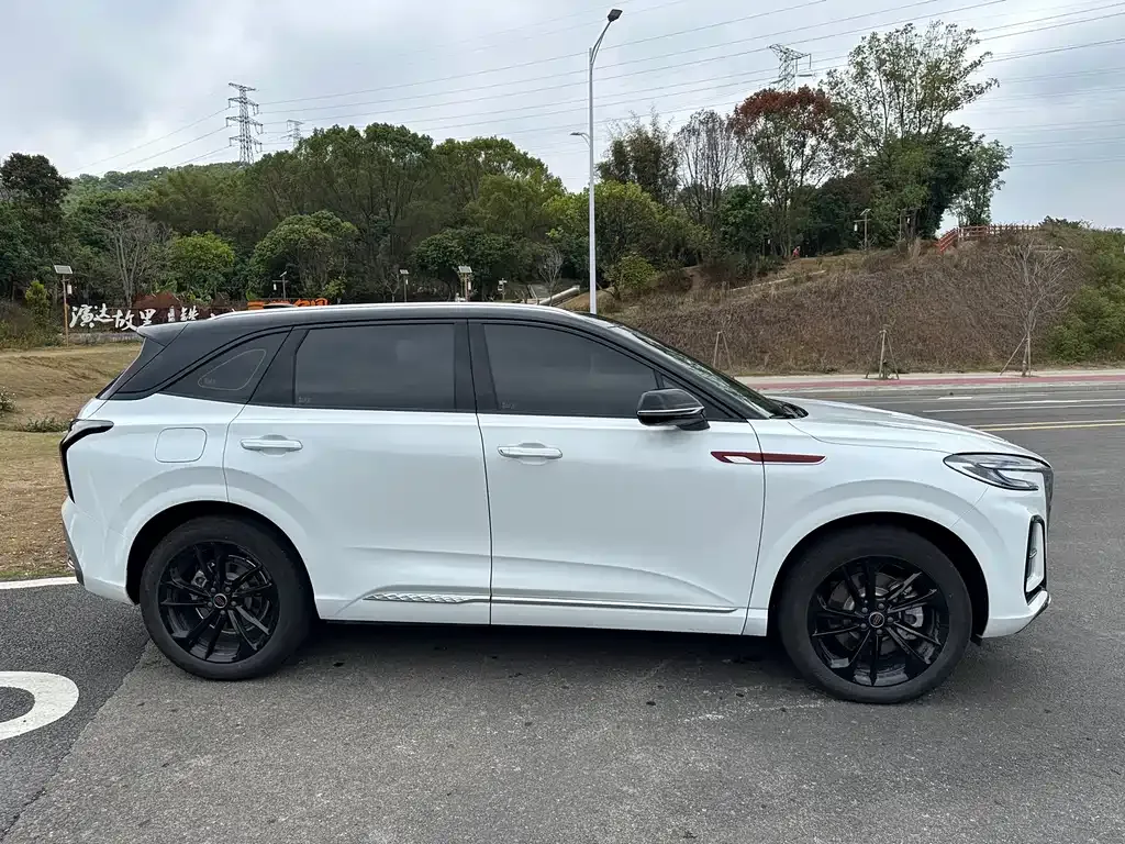 Hongqi HS3 PHEV 2025 из CN, фото 10