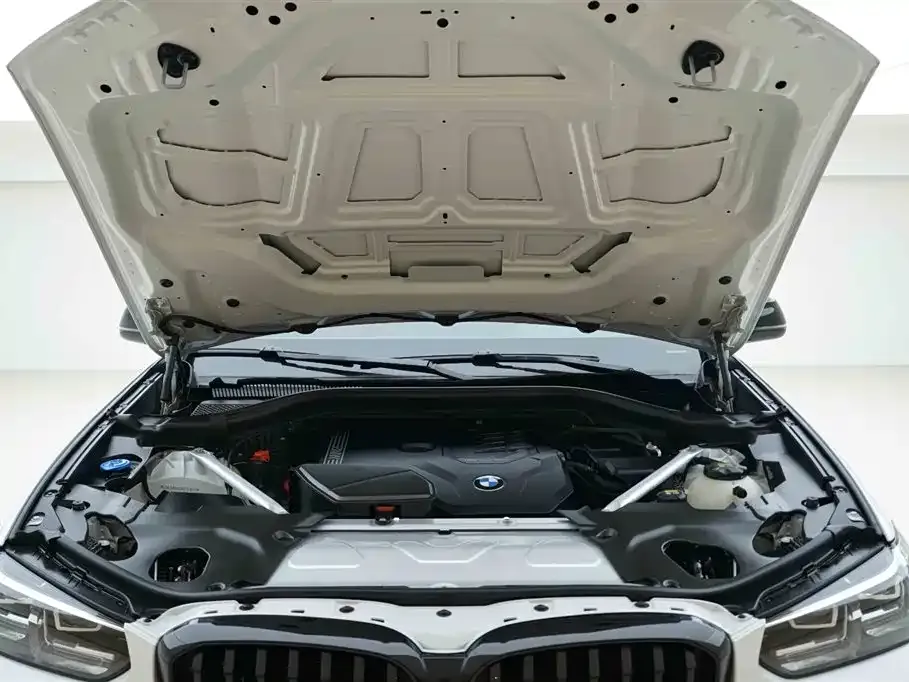 BMW X3 2021 из CN, фото 9