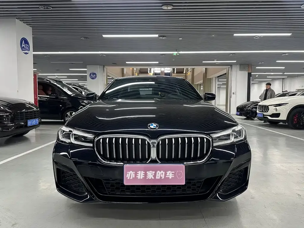 BMW 5 Series 2021 из CN, фото 9