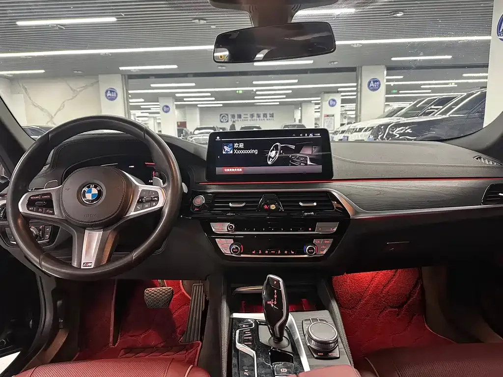 BMW 5 Series 2021 из CN, фото 7