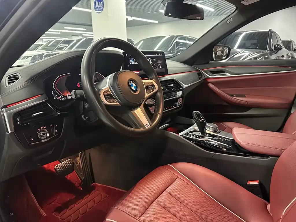 BMW 5 Series 2021 из CN, фото 6