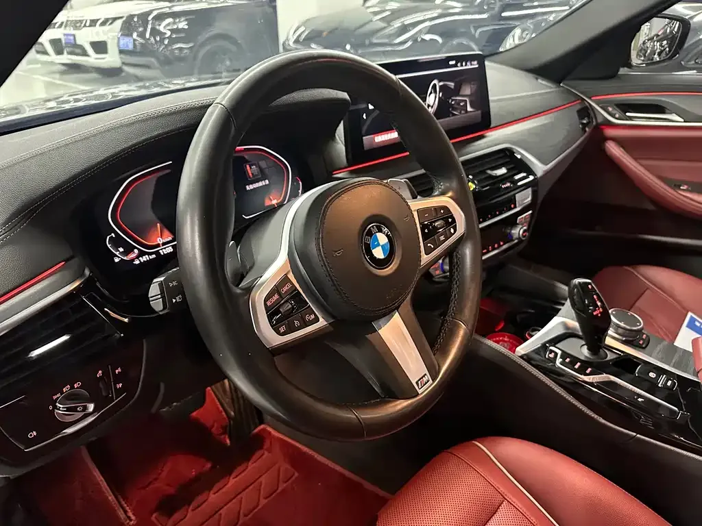 BMW 5 Series 2021 из CN, фото 8