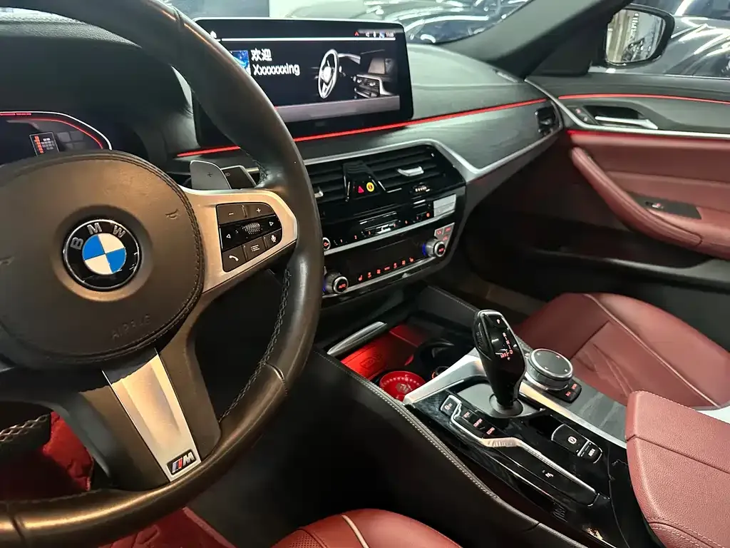 BMW 5 Series 2021 из CN, фото 4