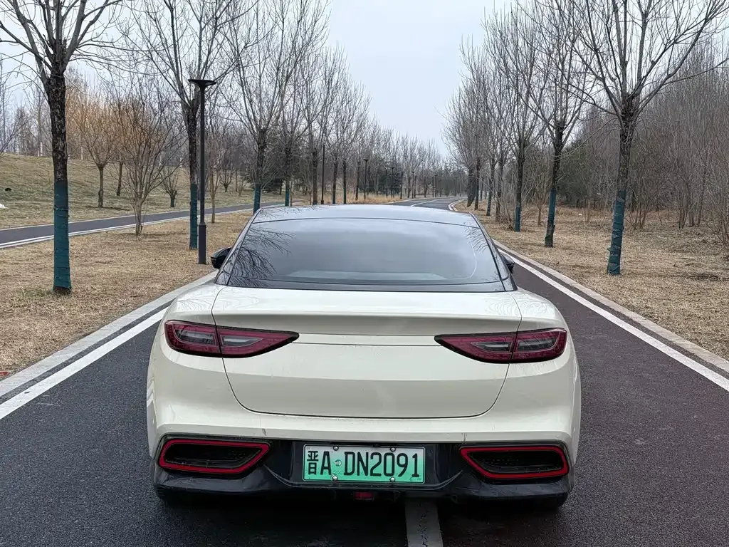 Neta GT 2024 из CN, фото 4