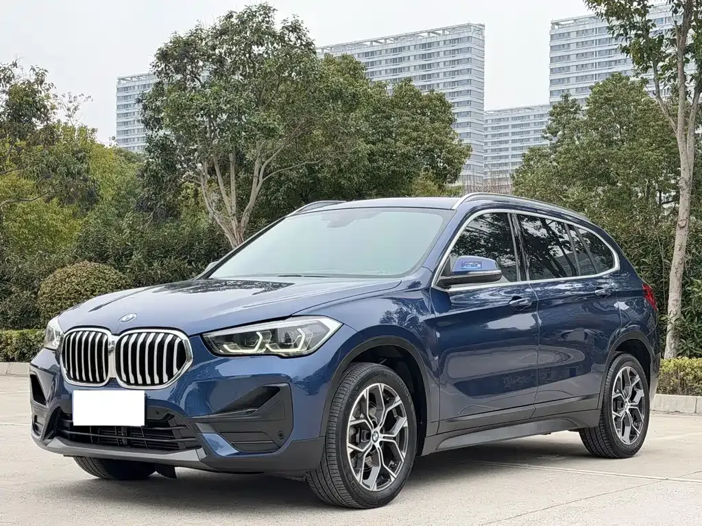 BMW X1 — фото 1