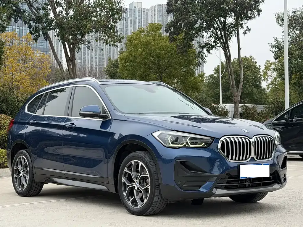 BMW X1 — фото 10