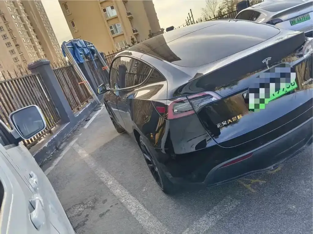 Tesla Model Y — фото 3