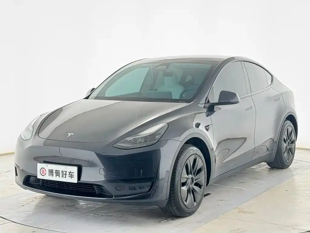 Tesla Model Y — фото 1