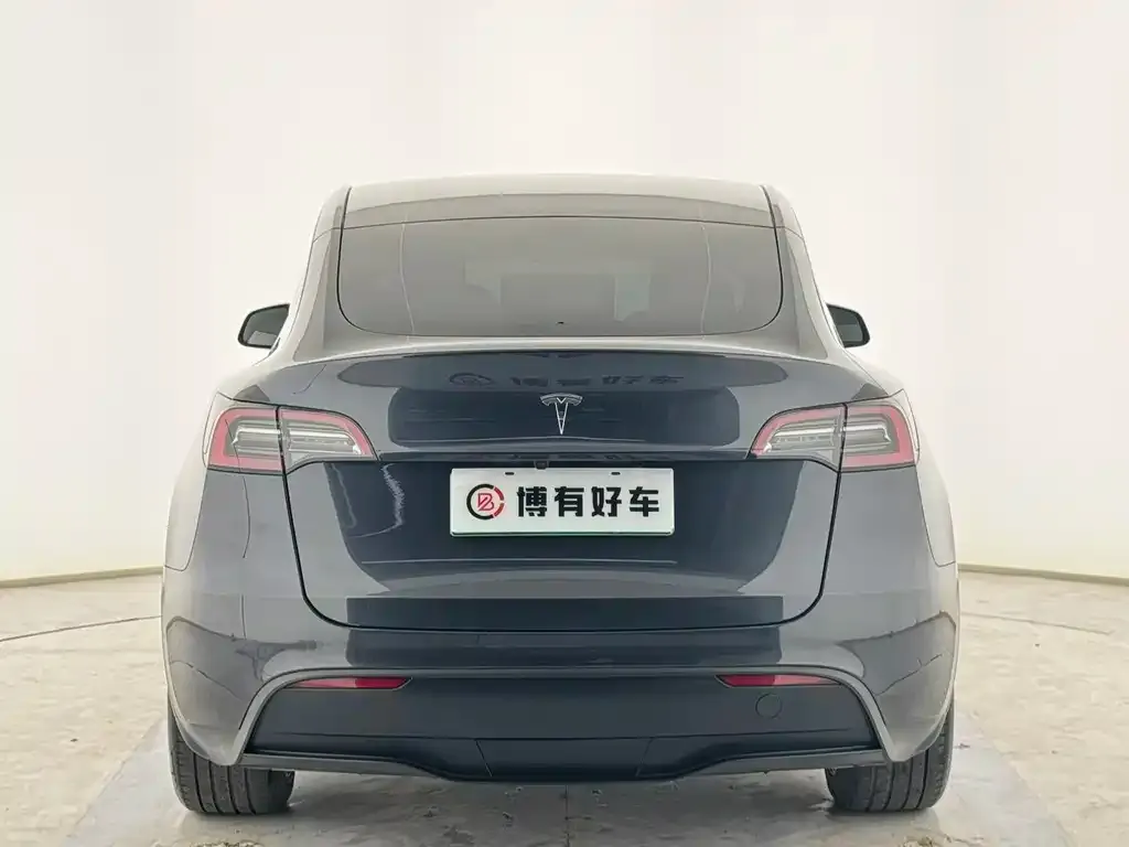 Tesla Model Y — фото 8