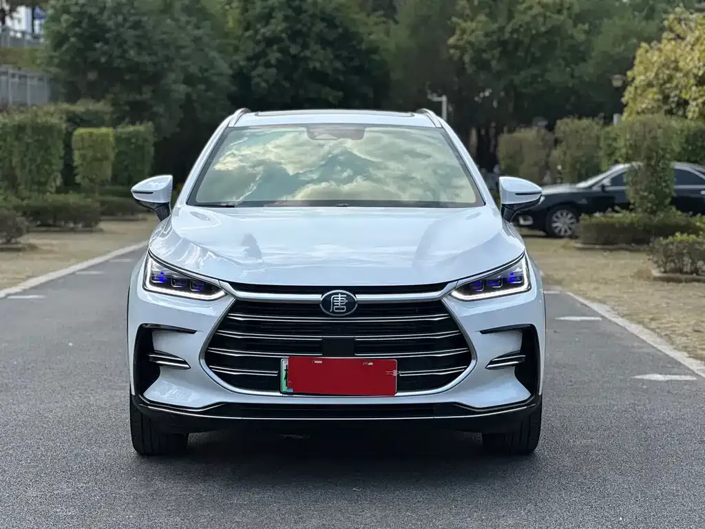 BYD Tang New Energy 2021 из CN, фото 8