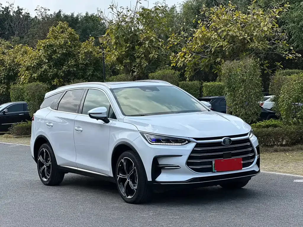 BYD Tang New Energy 2021 из CN, фото 10