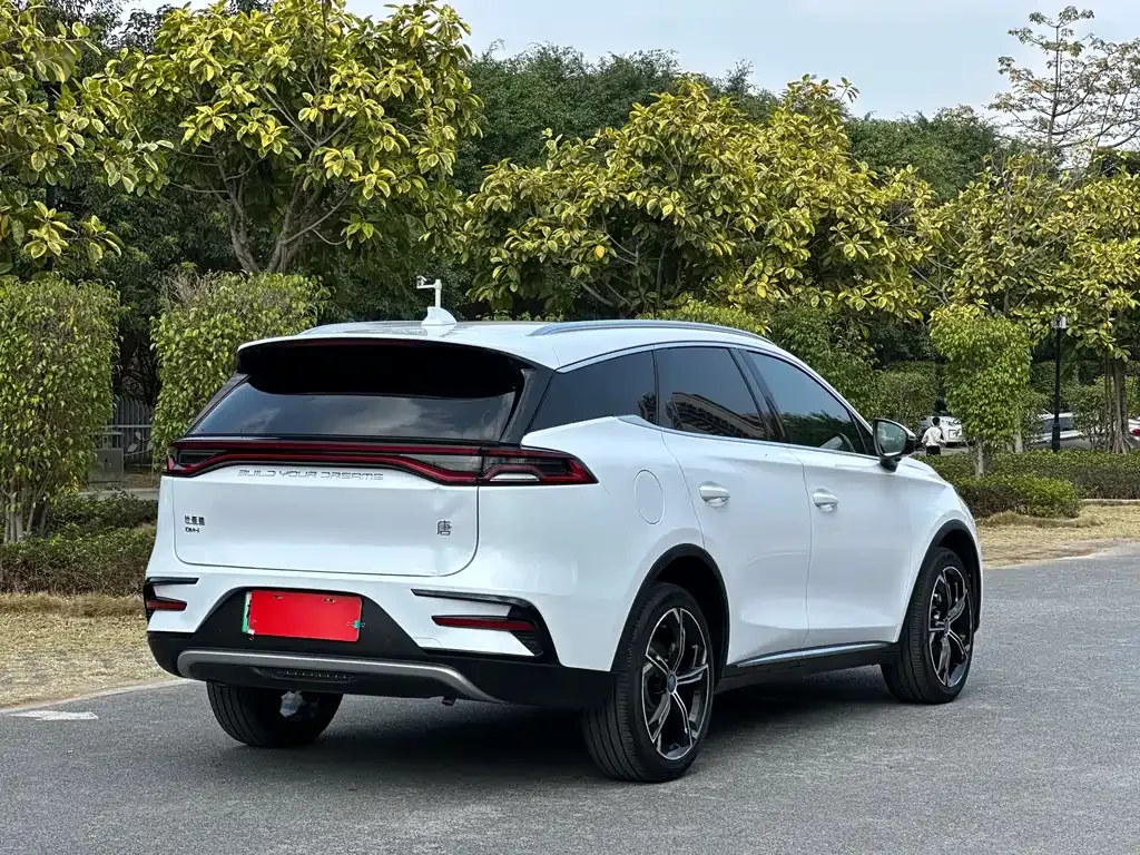 BYD Tang New Energy 2021 из CN, фото 7