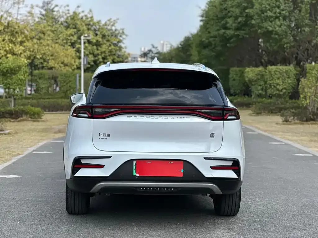 BYD Tang New Energy 2021 из CN, фото 2