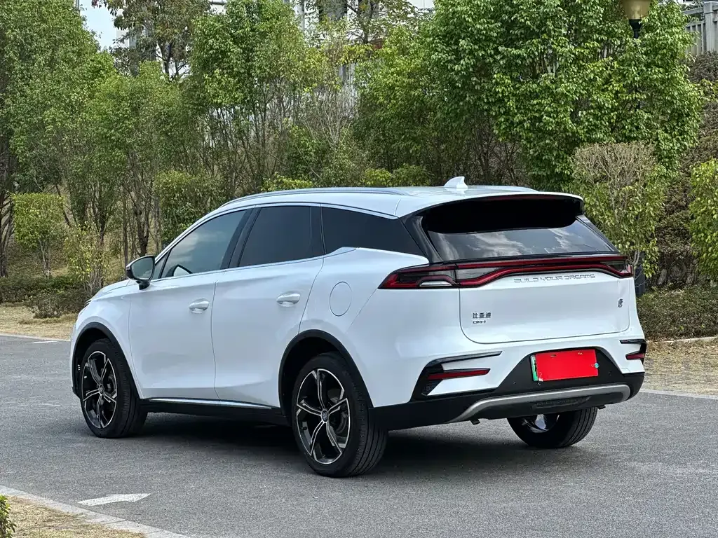 BYD Tang New Energy 2021 из CN, фото 5