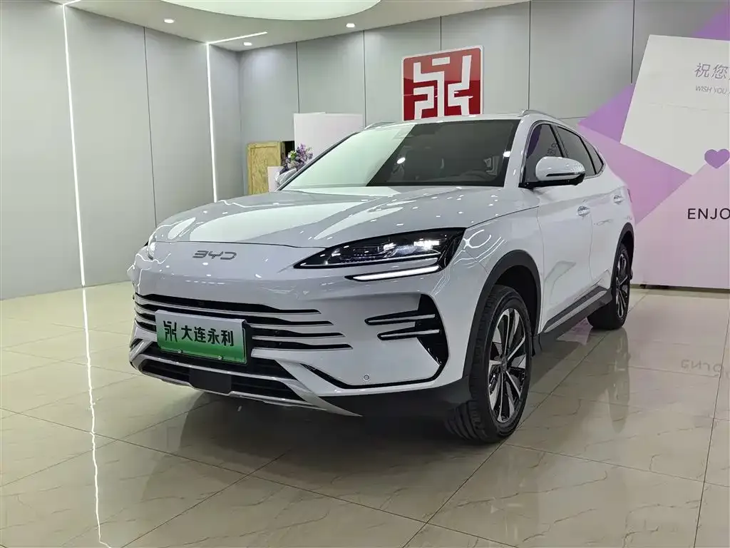 BYD PLUS New Energy 2025 из CN, фото 1