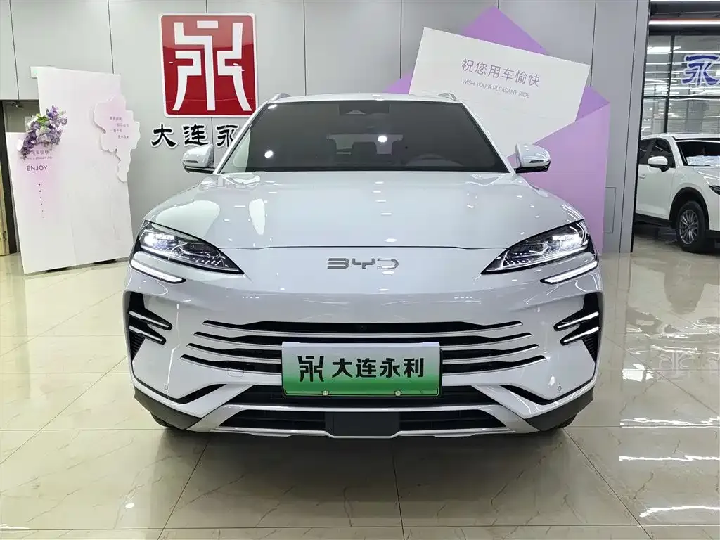 BYD PLUS New Energy 2025 из CN, фото 2