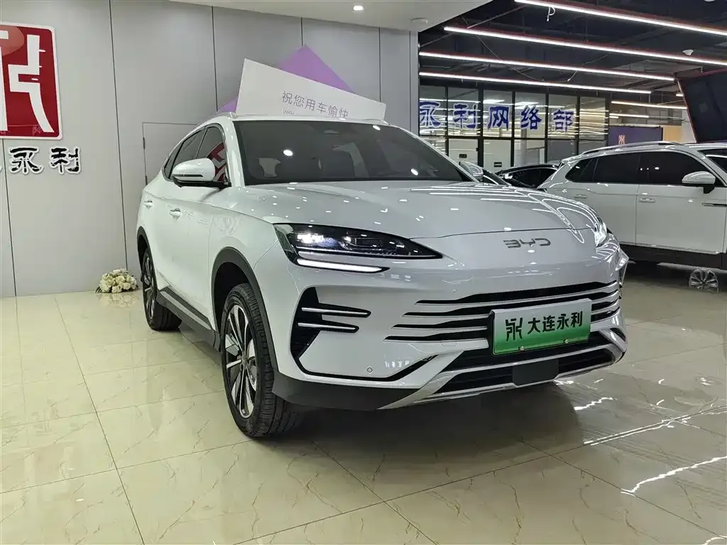 BYD PLUS New Energy 2025 из CN, фото 10