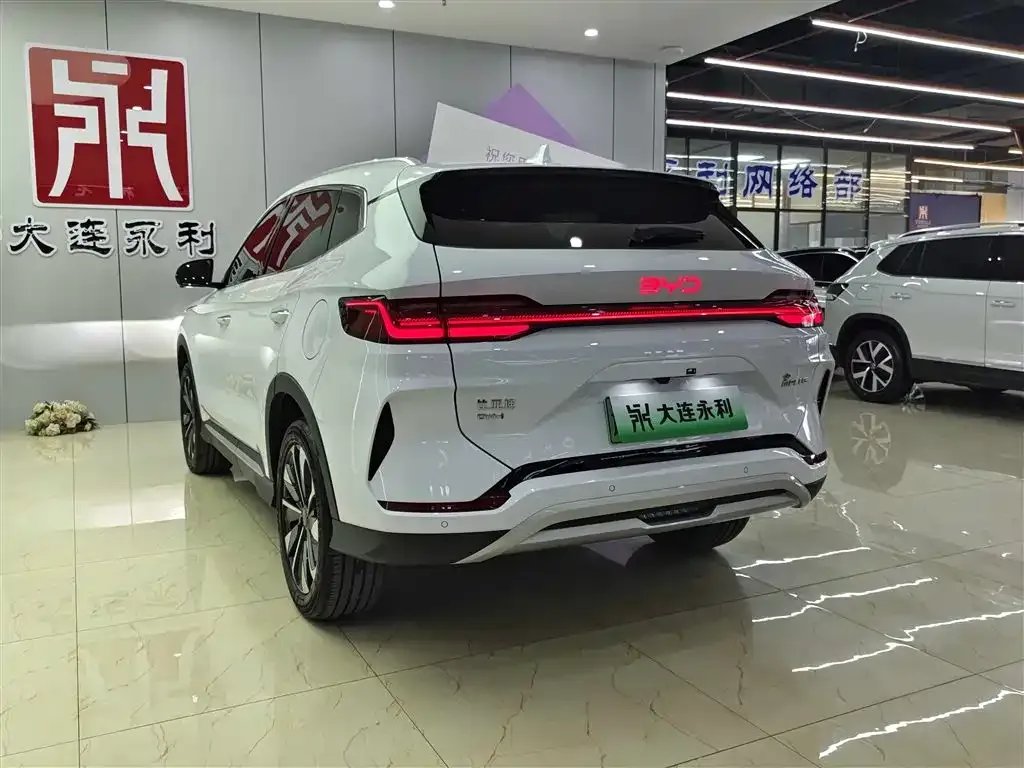 BYD PLUS New Energy 2025 из CN, фото 4